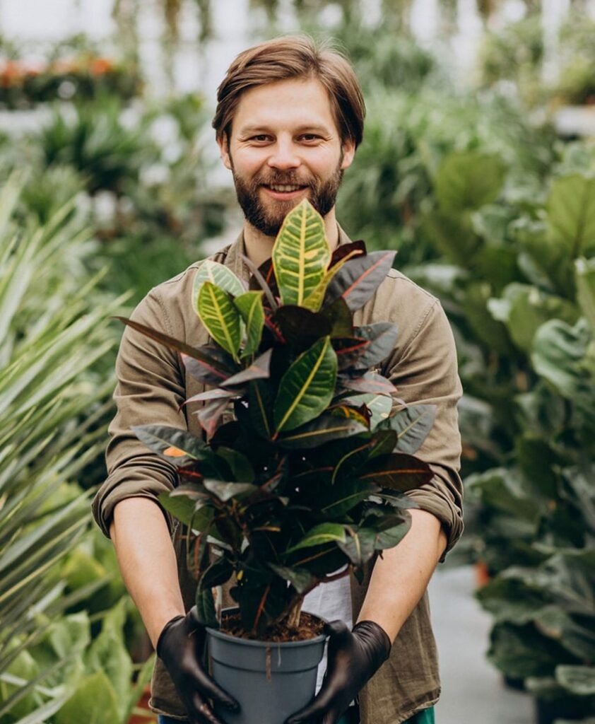 Frequently Asked Questions